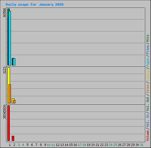 Daily usage for January 2026