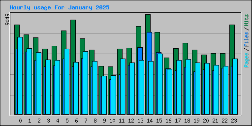 Hourly usage for January 2025