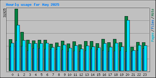 Hourly usage for May 2025