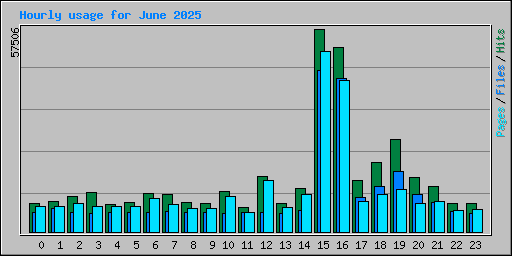 Hourly usage for June 2025