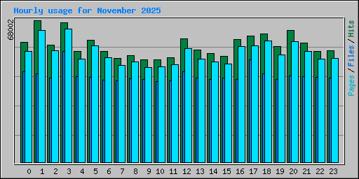 Hourly usage for November 2025
