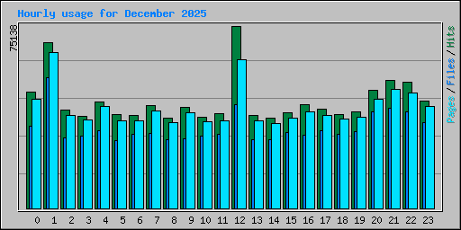 Hourly usage for December 2025