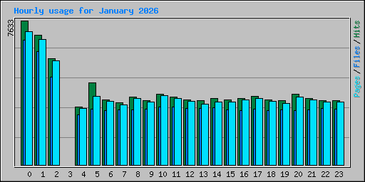 Hourly usage for January 2026