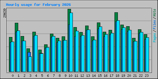 Hourly usage for February 2026