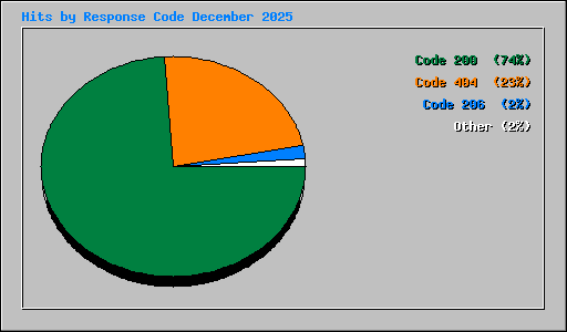 Hits by Response Code December 2025